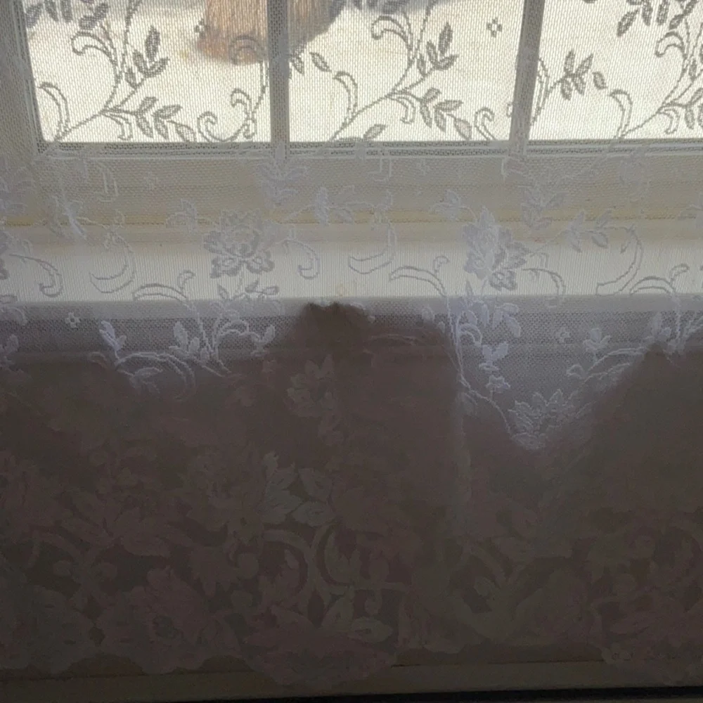 Elegant White Lace Curtain Panels Floral, Scalloped Bottom - 74” x 56” -Set of 3